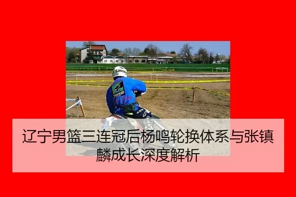liao-ning-nan-lan-san-lian-guan-hou-yang-ming-lun-huan-ti-xi-yu-zhang-zhen-lin-cheng-zhang-shen-du-jie-xi-2-303.jpg
