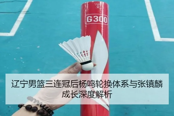 liao-ning-nan-lan-san-lian-guan-hou-yang-ming-lun-huan-ti-xi-yu-zhang-zhen-lin-cheng-zhang-shen-du-jie-xi-3-601.jpg