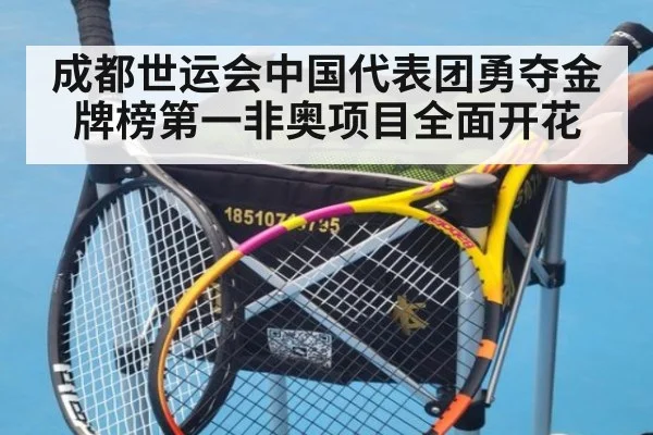 成都世运会中国代表团勇夺金牌榜第一非奥项目全面开花